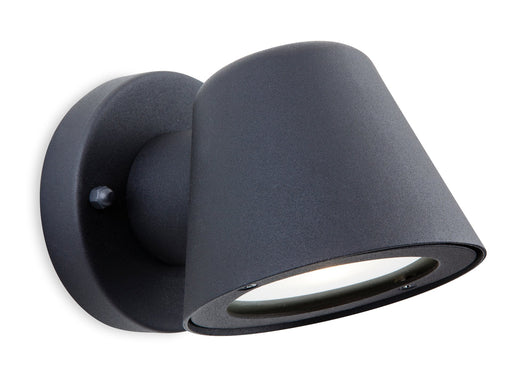 Elan LED Wall Light - Black