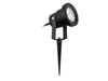 Hayes LED Wall & Spike Spot - Black