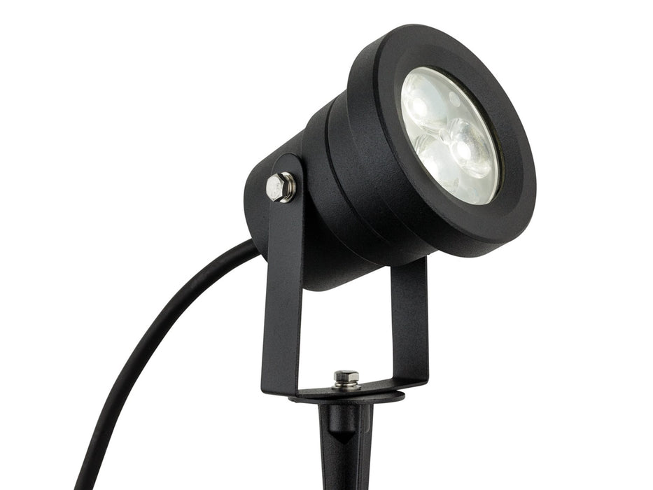 Hayes LED Wall & Spike Spot - Black