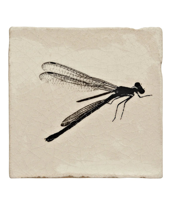 Minton Hollins Cream Crackle Engraving - Dragonfly