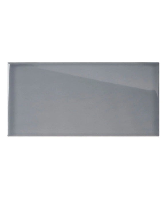 Matrix® Steel Gloss Tile (9.8cm x 19.8cm)