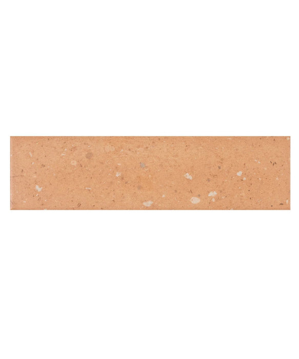 Briks™ Cotto Terrazzo Tile (26cm x 7cm)